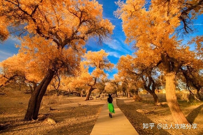 西寧自己旅游攻略