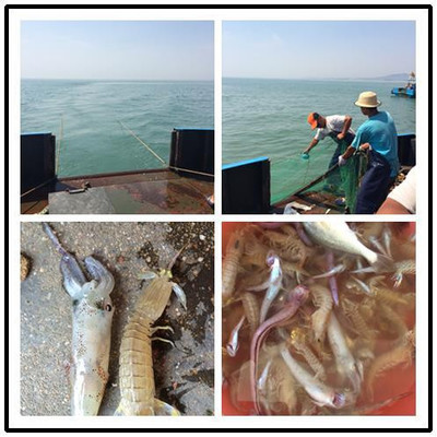 日照漁家自由行攻略