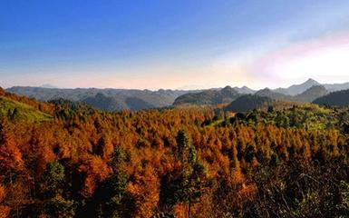 自駕游攻略如何寫(xiě)