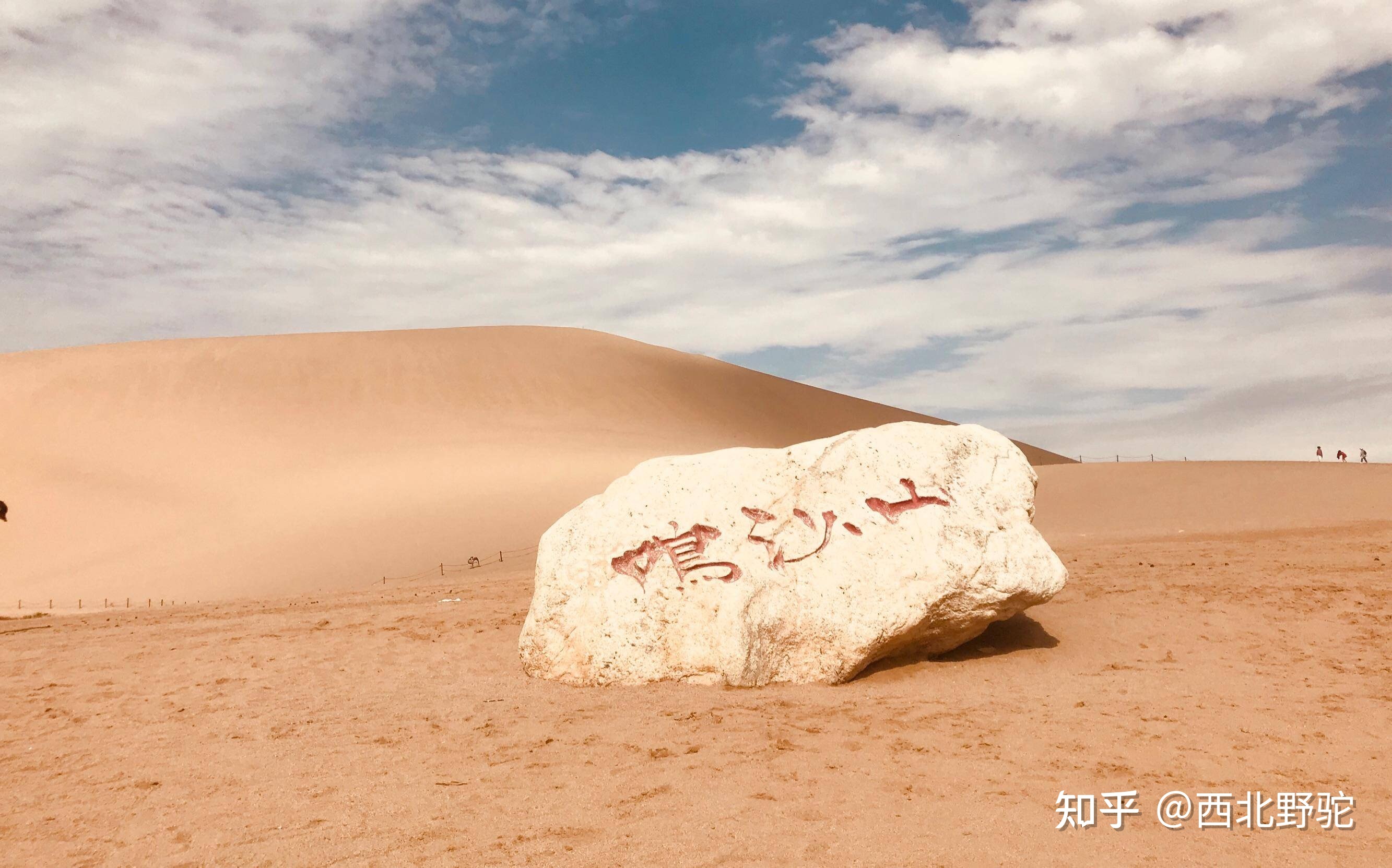 西寧自己旅游攻略