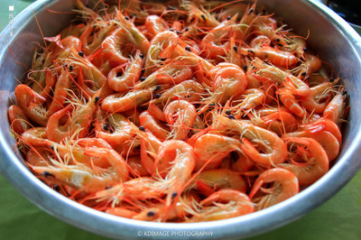 五一珠三角攻略 去廣東旅行,有什么美食攻略嗎