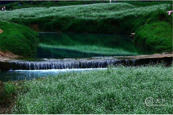 南寧到香格里拉旅游攻略