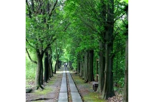 從蘇州到山東自駕游攻略