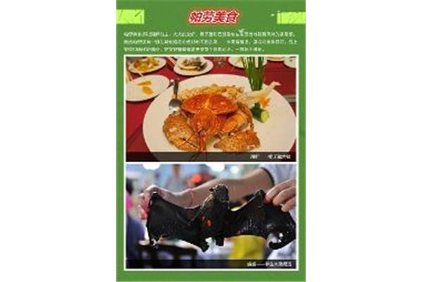 帕勞旅行美食全攻略