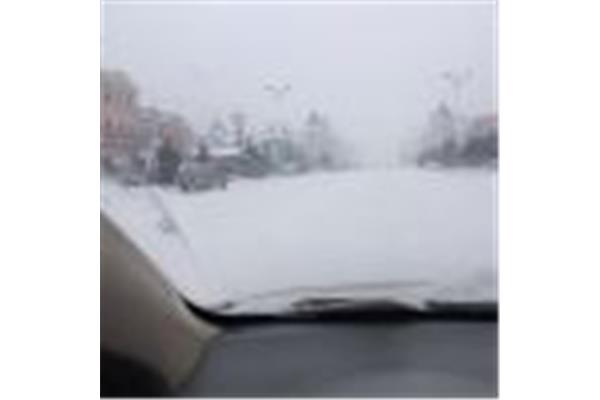 哈爾濱到蘇杭攻略