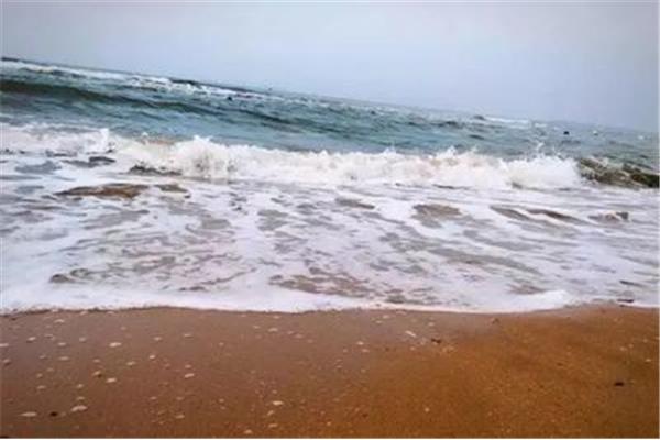 遼寧周邊能沖浪的地方