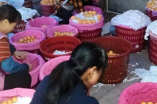 莆田采購(gòu)攻略