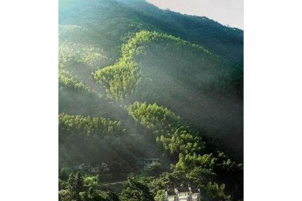 扎龍自然保護(hù)區(qū)游玩攻略 高黎貢山自然保護(hù)區(qū)游玩攻略