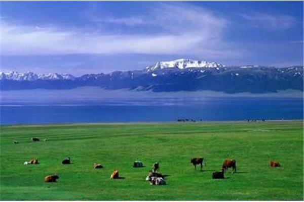 成都至伊犁自駕游攻略