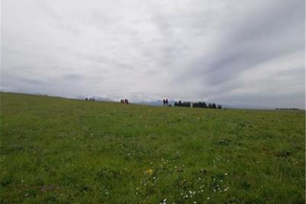 成都至伊犁自駕游攻略