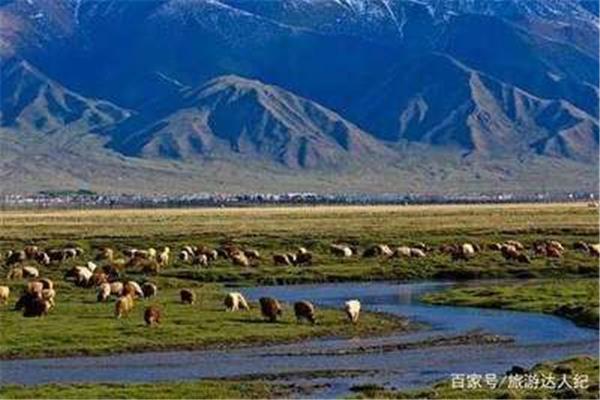 成都至伊犁自駕游攻略