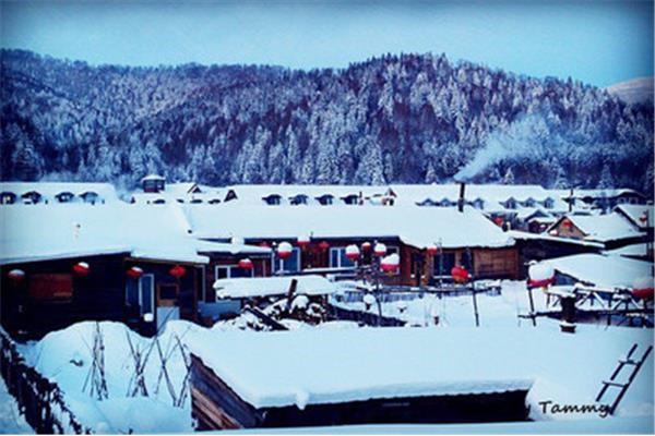 內(nèi)蒙黑龍江七日游 夏季黑龍江旅游的最佳路線?