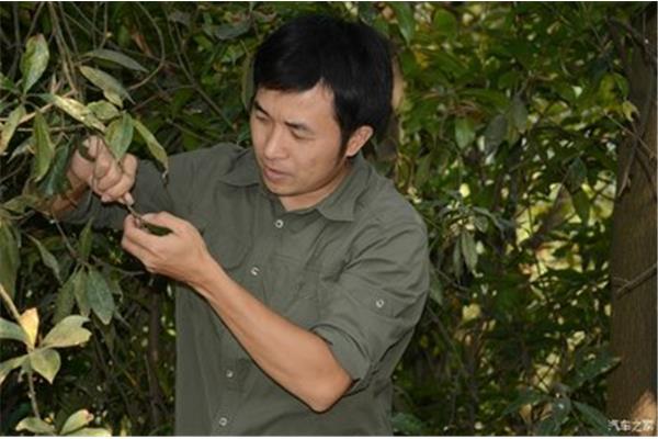 株洲周邊周末游