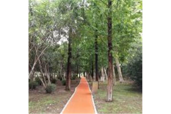 二橋公園游玩攻略