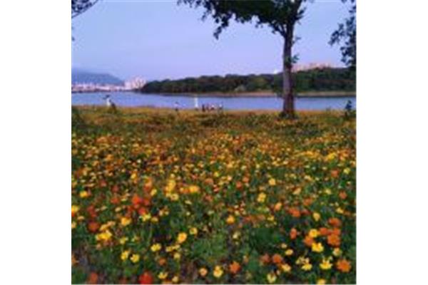 二橋公園游玩攻略