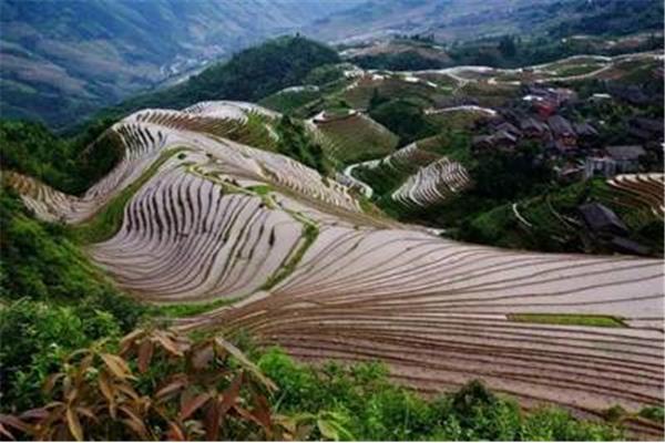 陽朔漓江龍脊梯田 漓江龍脊梯田三日游