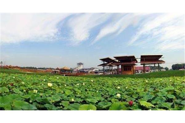 武清周邊景點(diǎn)