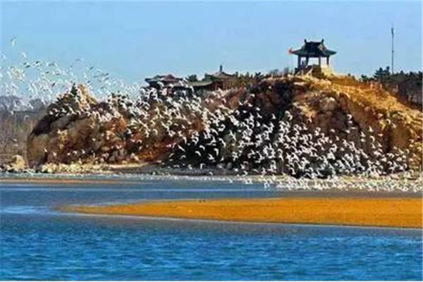 武清周邊景點(diǎn)