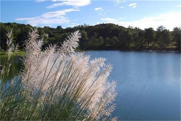 武清周邊景點(diǎn)