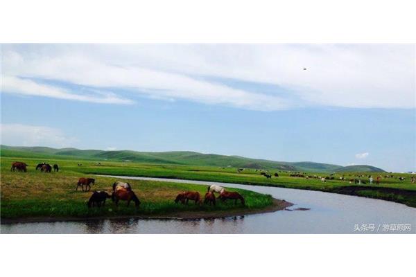 自駕呼倫貝爾旅游攻略 天津自駕呼倫貝爾旅游攻略