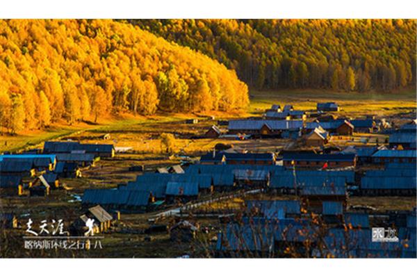 喀納斯拍照攻略