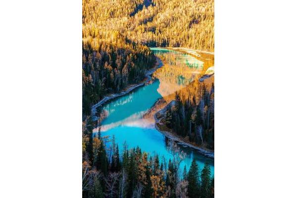 喀納斯拍照攻略