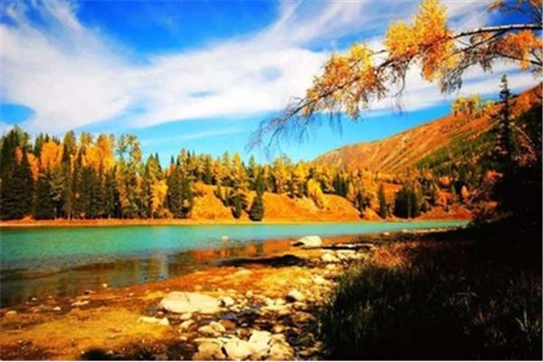 喀納斯拍照攻略