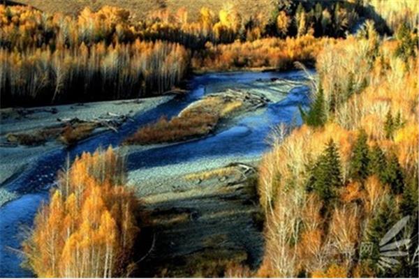 喀納斯拍照攻略