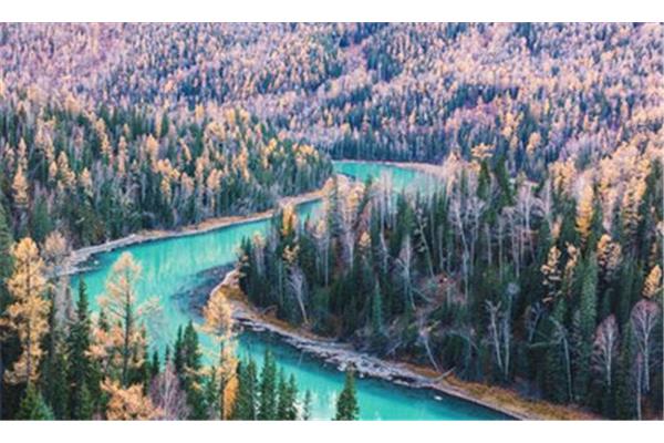 喀納斯拍照攻略