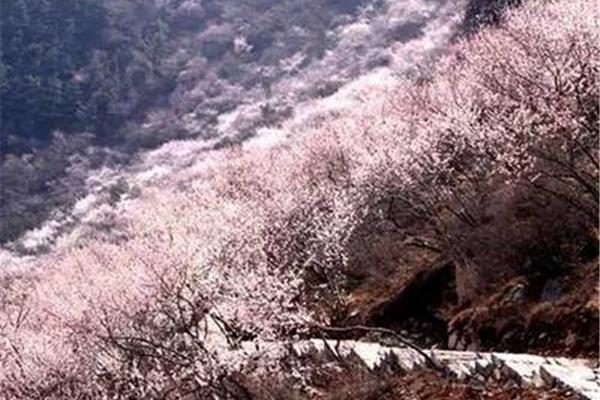 新安縣櫻桃溝旅游攻略