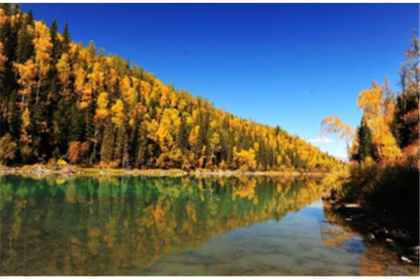 喀納斯拍照攻略