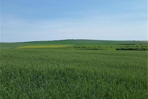 呼倫貝爾旅游食宿攻略