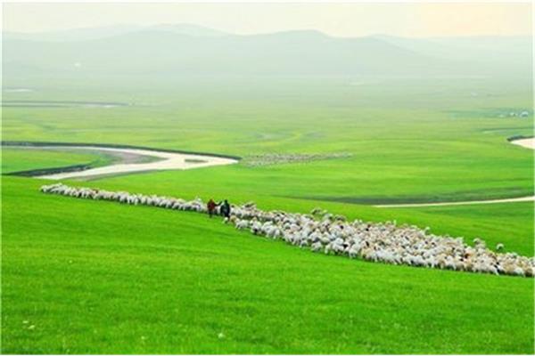 呼倫貝爾旅游食宿攻略