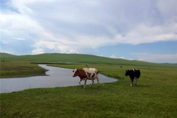呼倫貝爾旅游食宿攻略