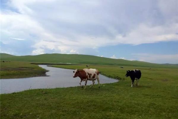 呼倫貝爾旅游食宿攻略