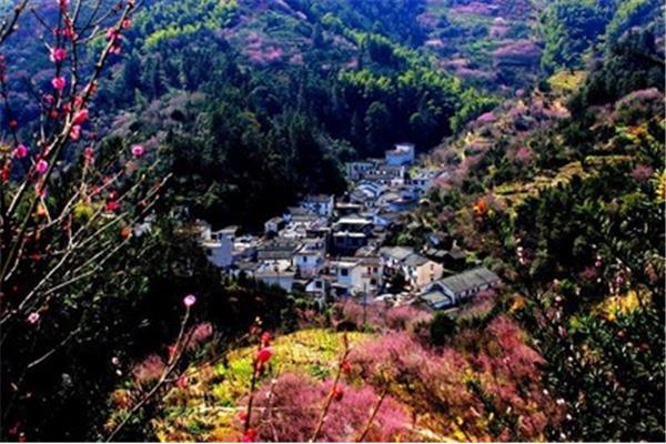 L̩СSɽ^(q)湥 Sɽ۴