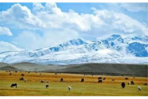 塔什庫爾干縣 冰川攻略