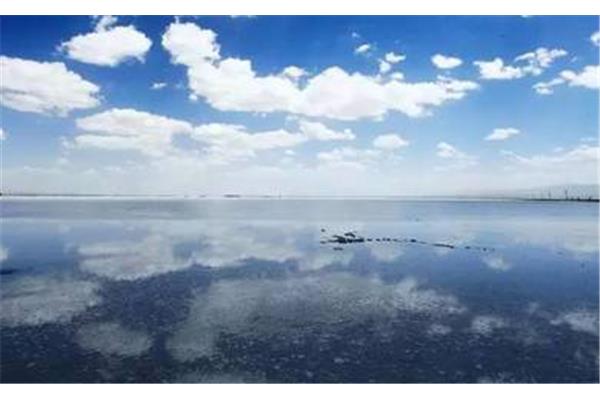 無錫到青海湖旅游攻略