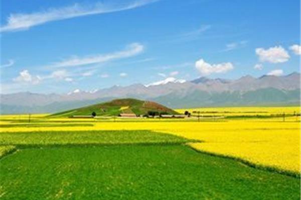 無錫到青海湖旅游攻略