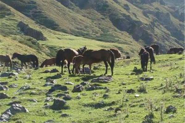 烏魯木齊周邊二日精品游