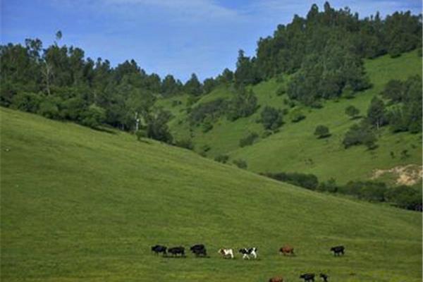 P(gun)ɽ(chng)湥 P(gun)ɽ(chng){ι