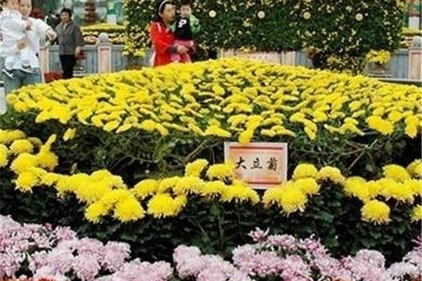 北京特3旅游攻略