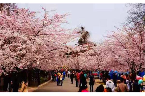 東營(yíng)旅游攻略二日游