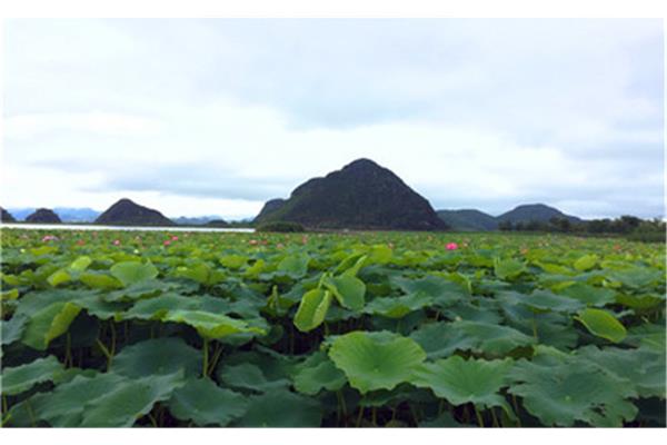東營(yíng)旅游攻略二日游