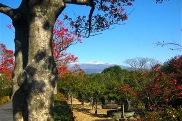 韓國濟州島和首爾自由行旅游攻略