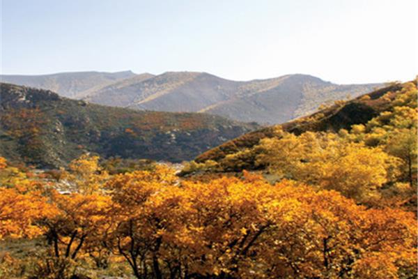 卓資山旅游攻略