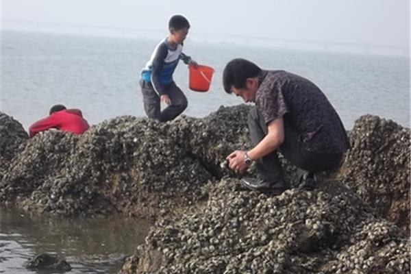 龍巖到火山島一日游攻略