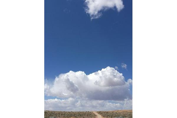 查看石嘴山市天氣預(yù)報 威海天氣威海天氣預(yù)報視頻