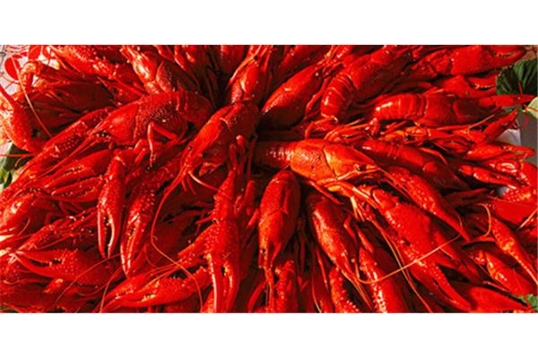 2023盱眙龍蝦節(jié) 2023盱眙龍蝦節(jié)演員