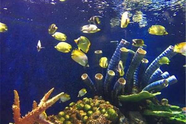 廈門周邊短途旅游